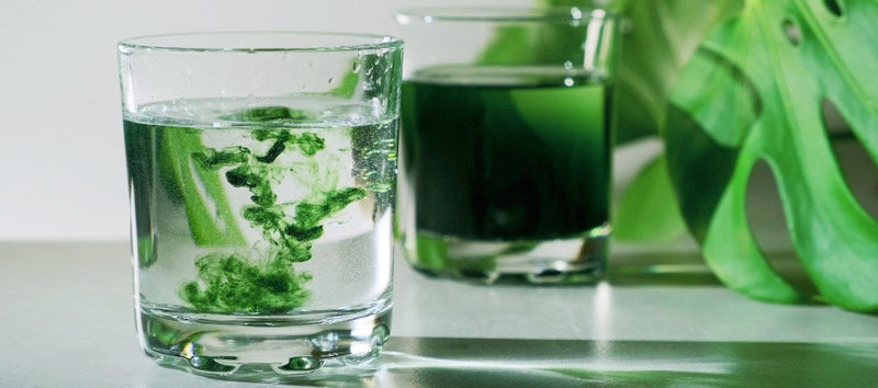 The Morning Detox: Liquid Chlorophyll Benefits for Your Daily Routine