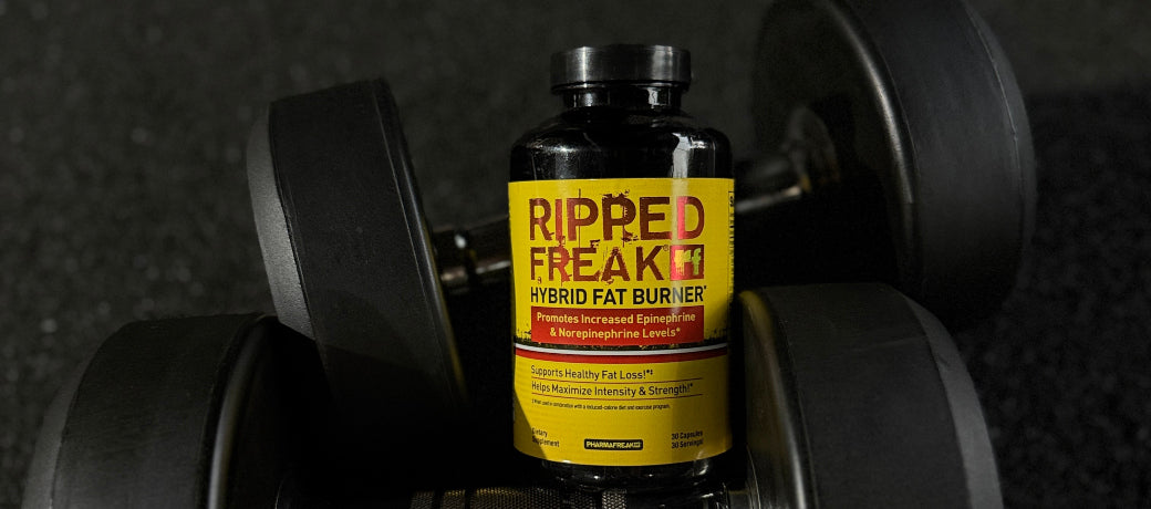 fat burner supplements