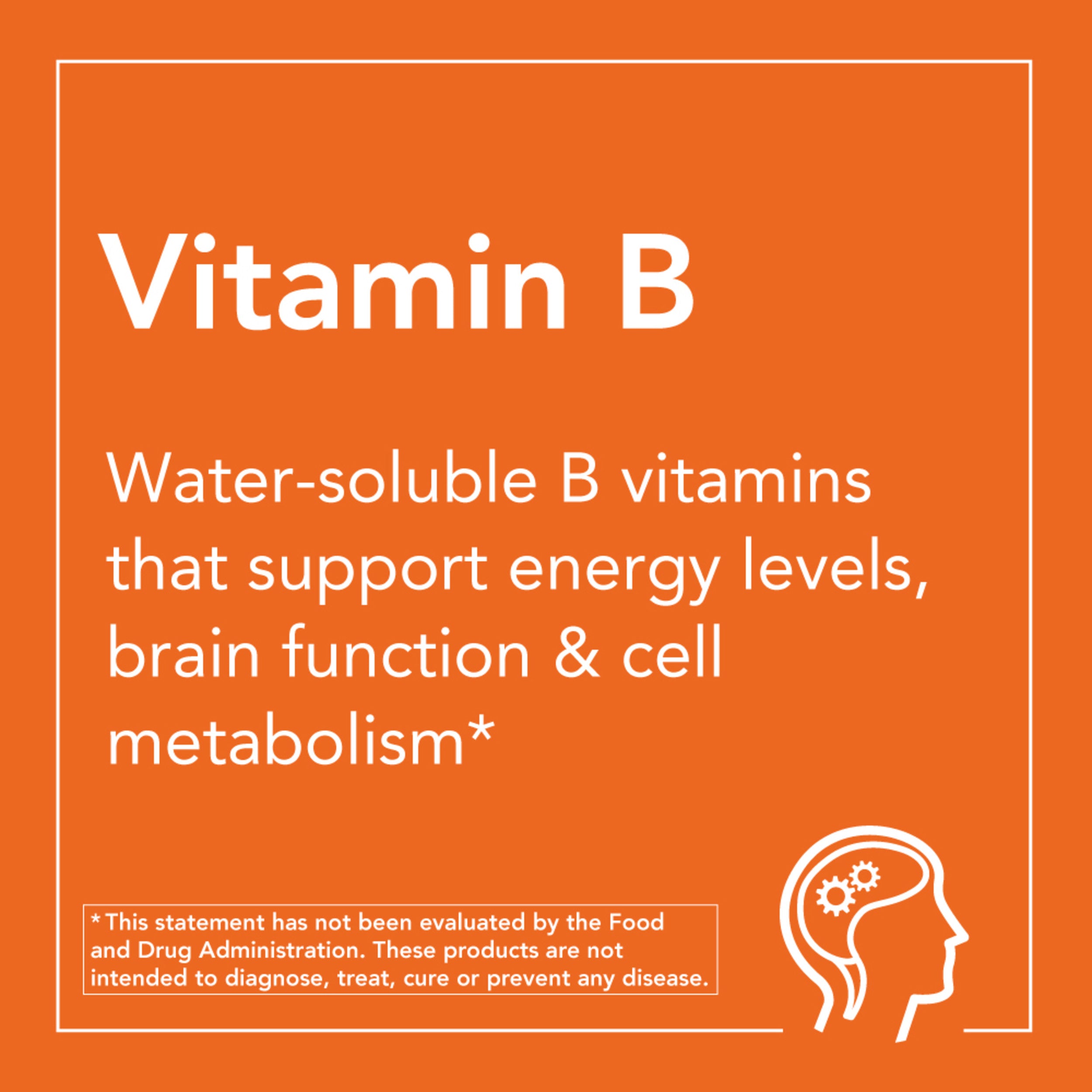 NOW Foods Vitamin B-1 100 Mg - 100 Tablets – DS International ZA