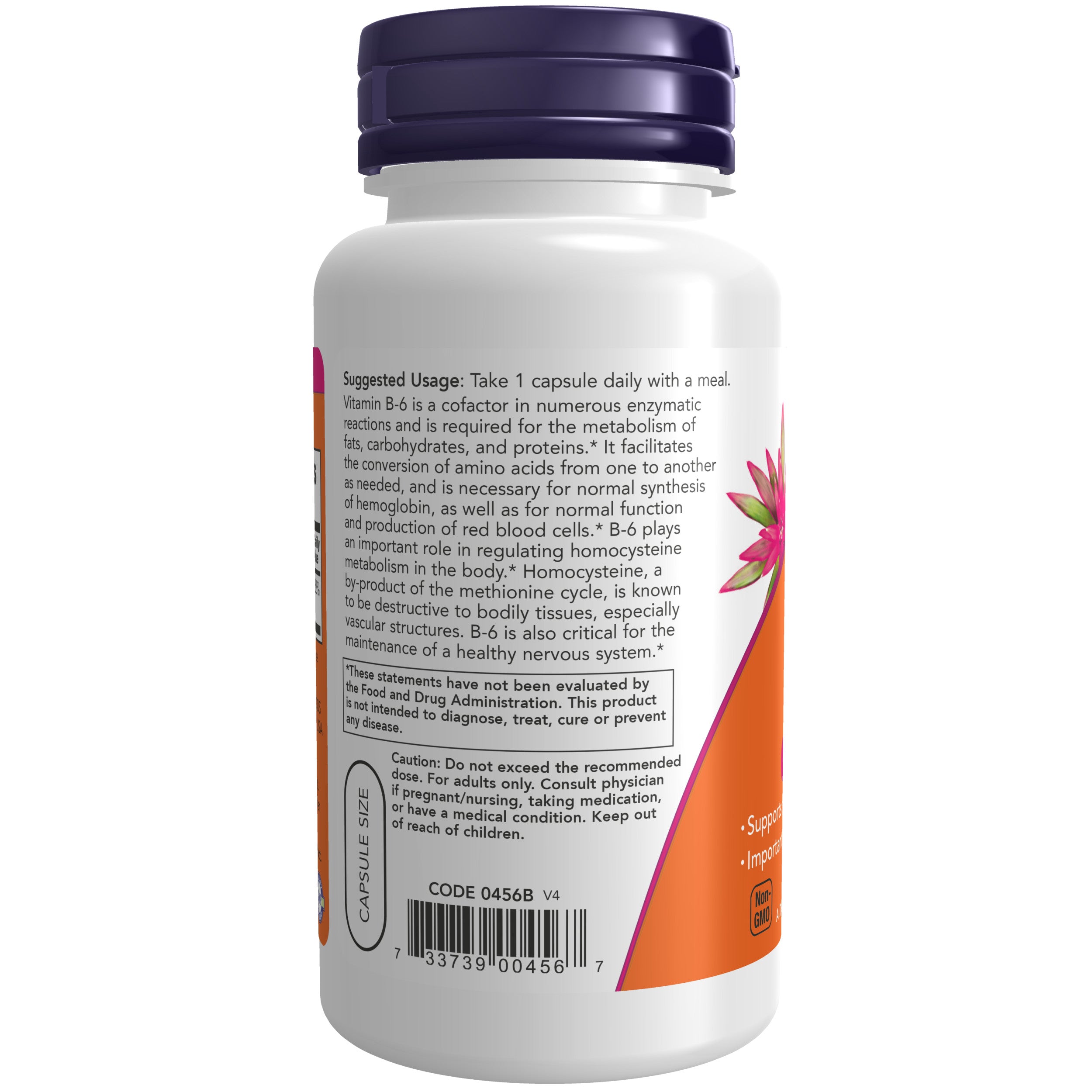 NOW Foods Vitamin B-6 100 Mg - 100 Veg Capsules – DS International ZA