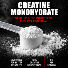 Insane Labz Creatine Monohydrate 60 Servings – 300g
