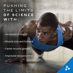 MuscleTech Cell-Tech Creatine Fruit Punch