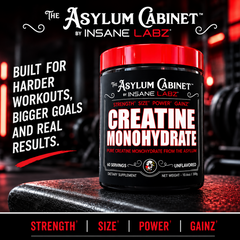 Insane Labz Creatine Monohydrate 60 Servings – 300g