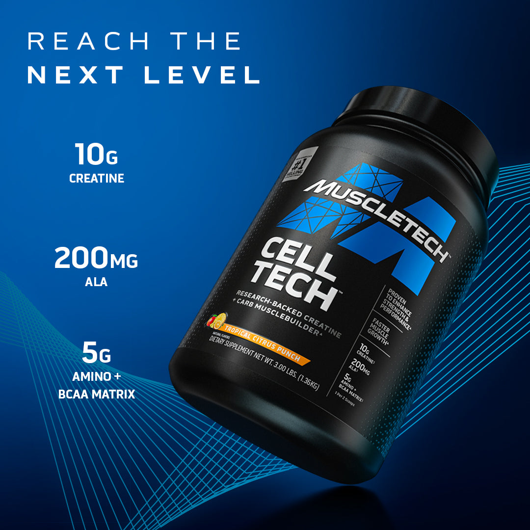 MuscleTech Cell-Tech Creatine Fruit Punch – DS International ZA